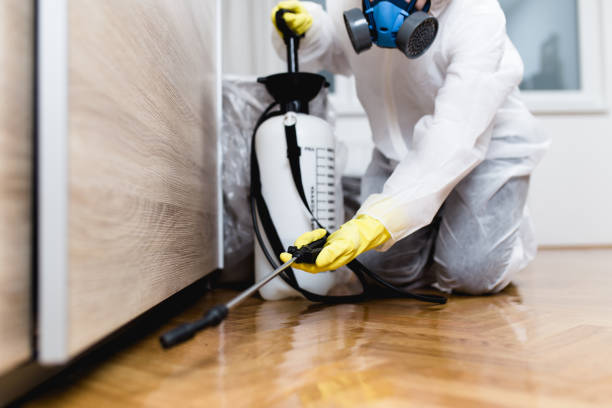 Best Pest Removal Services  in Minneapolis, KS