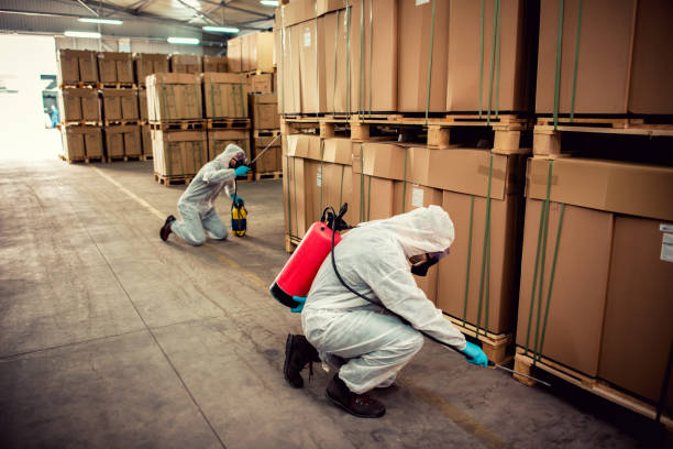 Best Cockroach Control Services  in Minneapolis, KS
