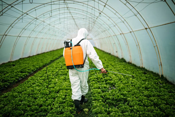 Pest Control for Restaurants in Minneapolis, KS