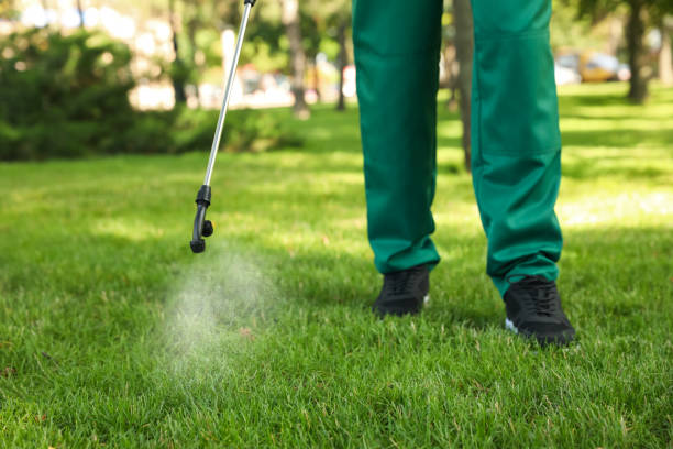 Best Rat Extermination Near Me  in Minneapolis, KS