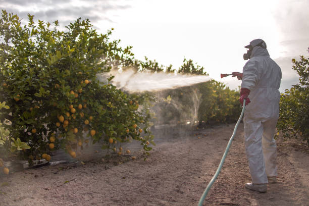 Professional Pest Control in Minneapolis, KS