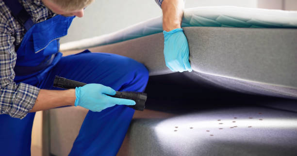 Best Pest Prevention Services  in Minneapolis, KS