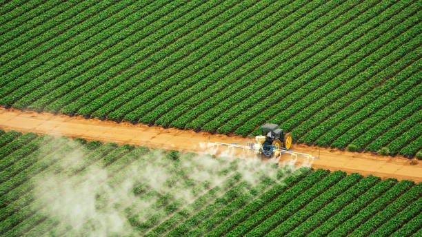 Best Commercial Pest Control Services  in Minneapolis, KS